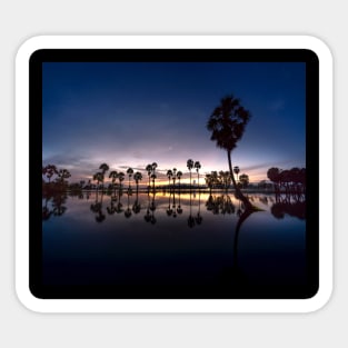 Sunset Palm trees Sticker